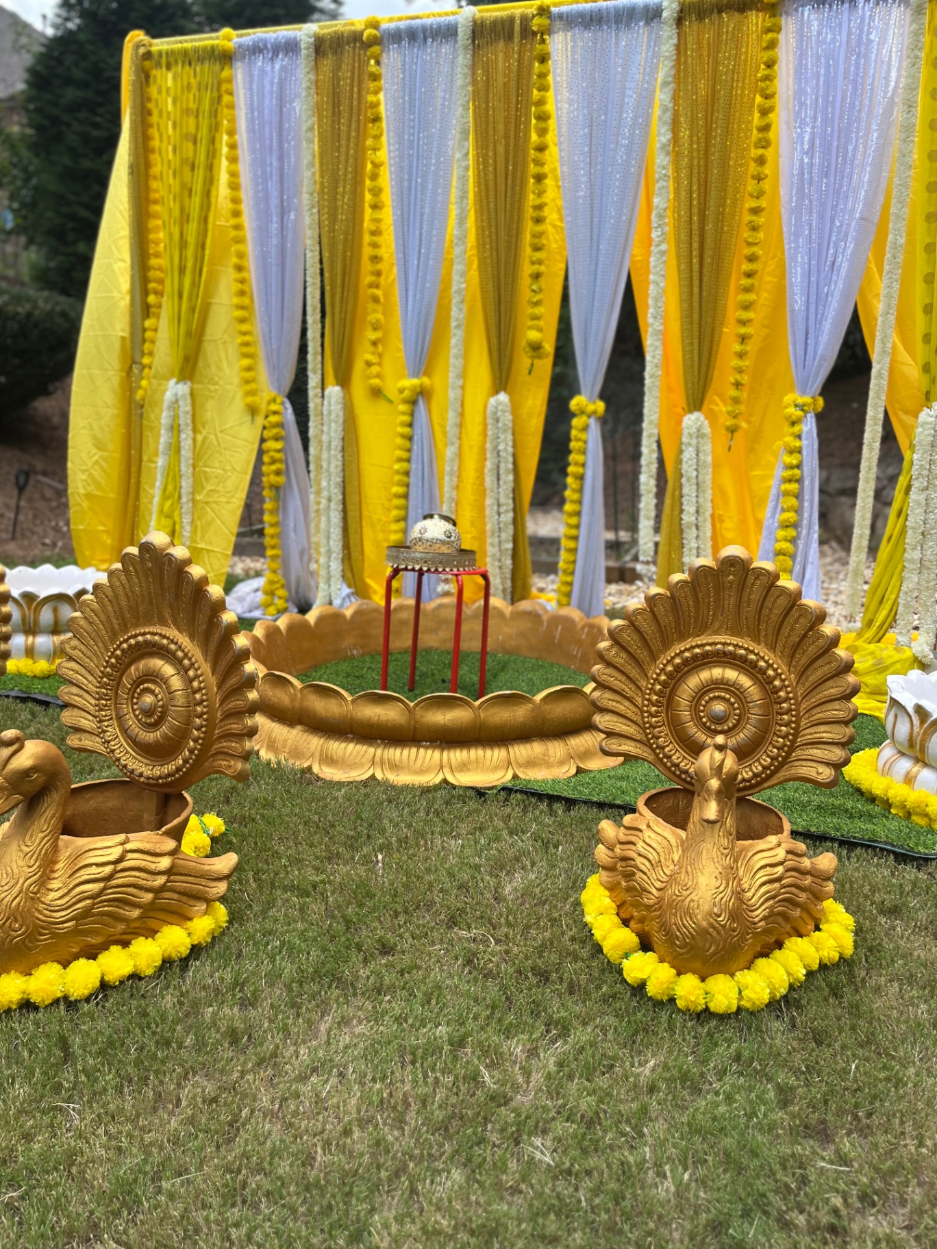 Yellow and white Haldi draping with golden peacocks